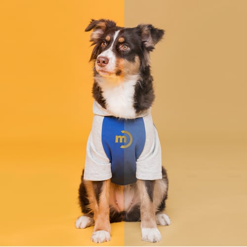 AugustBlogGraphics_Phase1_1080x1080_4