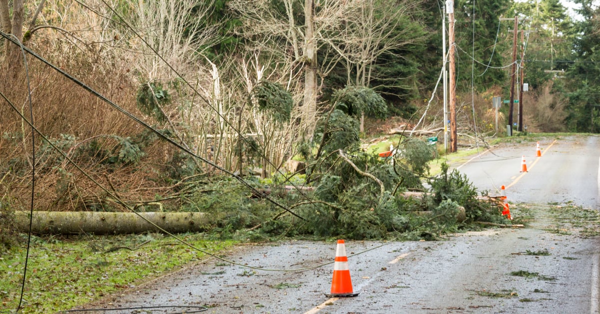 knocked down phone lines