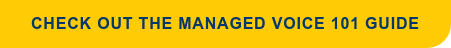Check Out The Managed Voice 101 Guide