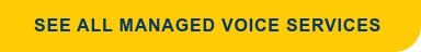 See All Managed Voice Services&nbsp;