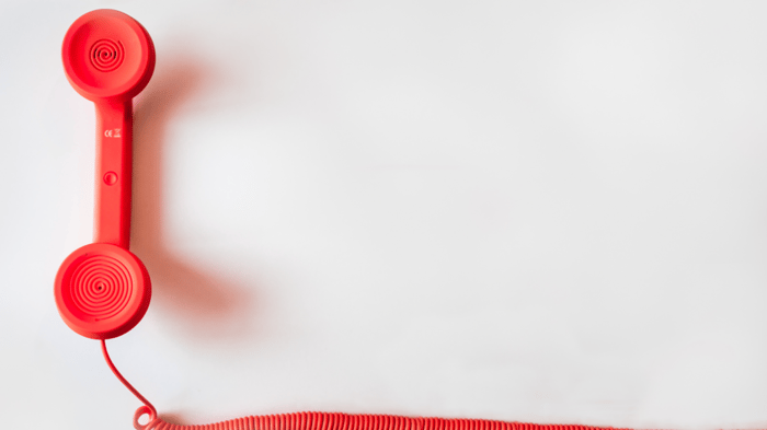 What’s Hosted Voice, and Why Should Your Business Use It?